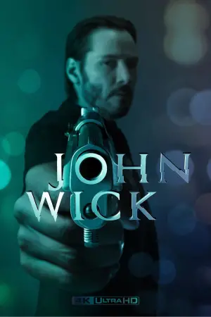 Poster to the movie "John Wick" #526116