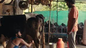 Backdrop to the movie "Cactus Pears" #803955