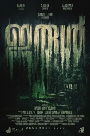 Poster to the movie "Irul" #873544