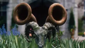 Backdrop to the movie "Ready or Not 2: Here I Come" #795618