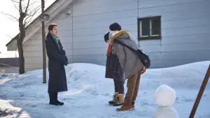 Backdrop to the movie "Moonlit Winter" #392408