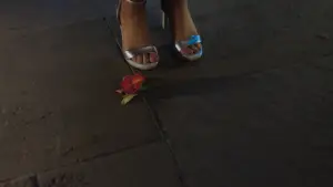 Backdrop to the movie "No Hard Feelings" #607442