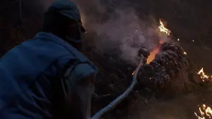 Backdrop to the movie "The Blob" #266299