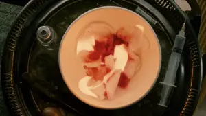 Backdrop to the movie "The Twilight Saga: New Moon" #519680