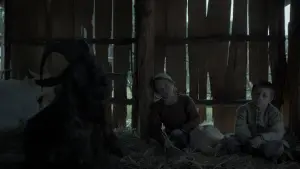 Backdrop to the movie "The Witch" #600186