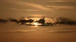 Backdrop to the movie "The Day: The Movie" #756391