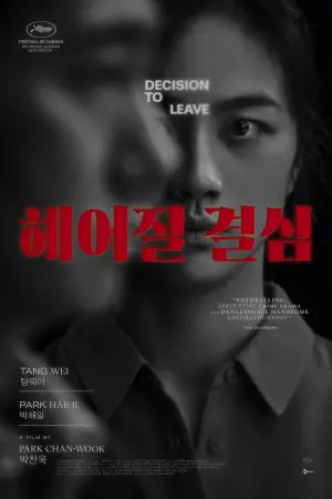 Poster to the movie "Decision to Leave" #653718