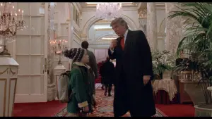 Backdrop to the movie "Home Alone 2: Lost in New York" #567396