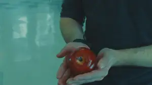 Backdrop to the movie "Twilight" #795898