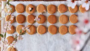 Backdrop to the movie "Sweet Bean" #414757