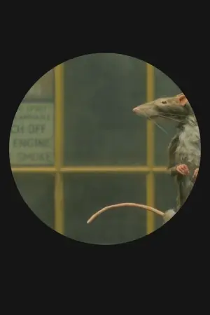 Poster to the movie "The Rat Catcher" #344474