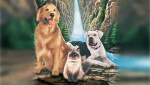 Backdrop to the movie "Homeward Bound: The Incredible Journey" #481564