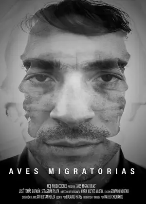 Poster to the movie "Migratory Birds" #736486