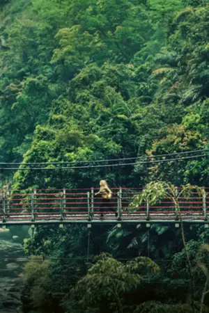 Poster to the movie "Redress" #533330