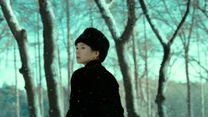 Backdrop to the movie "The Grandmaster" #531970