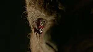 Backdrop to the movie "Winnie-the-Pooh: Blood and Honey 2" #646106