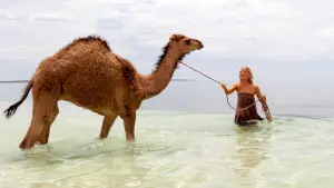 Backdrop to the movie "Tracks" #253931