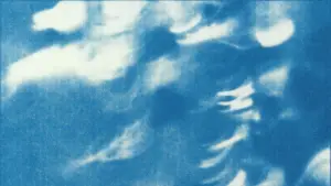 Backdrop to the movie "AGULHA" #554439