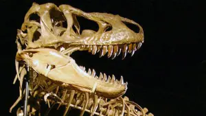 Backdrop to the movie "Dinosaurs, the hunt for fossils" #460177