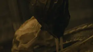 Backdrop to the movie "Predator: Badlands" #507813