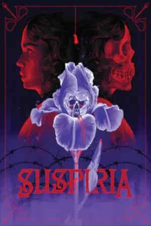 Poster to the movie "Suspiria" #695948