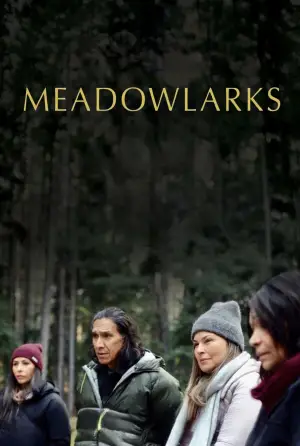 Poster to the movie "Meadowlarks" #623415