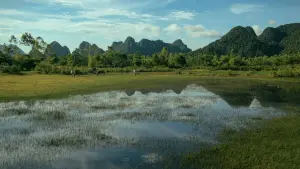 Backdrop to the movie "The Immortal" #541333