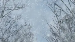 Backdrop to the movie "Detective Conan: One-Eyed Flashback" #576921