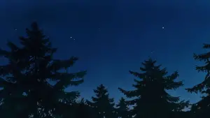 Backdrop to the movie "Kiki