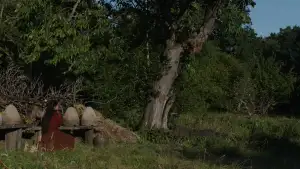 Backdrop to the movie "Hamnet" #795812