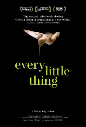 Poster to the movie "Every Little Thing" #791362