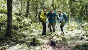 Backdrop to the movie "Haunted Mountains: The Yellow Taboo" #636480