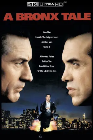 Poster to the movie "A Bronx Tale" #753008