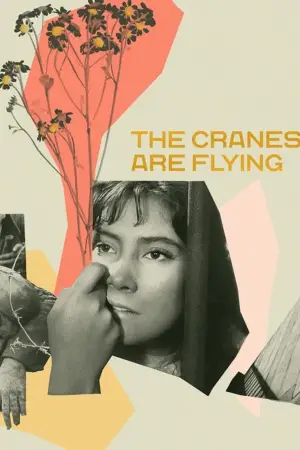 Poster to the movie "The Cranes Are Flying" #720517