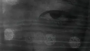 Backdrop to the movie "Perfect Days" #529647