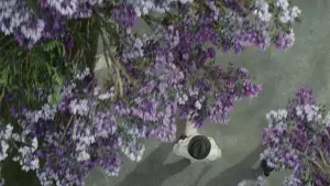 Backdrop to the movie "Queer" #584225