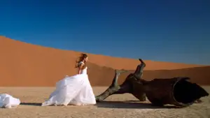 Backdrop to the movie "The Cell" #710644