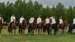 Backdrop to the movie "Anna Karenina. Vronsky