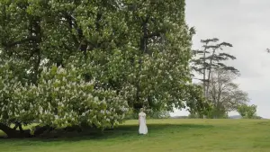 Backdrop to the movie "Emma." #693268