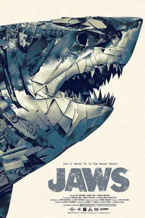 Poster to the movie "Jaws" #768257