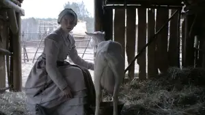 Backdrop to the movie "The Witch" #600159