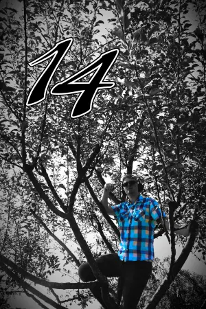 Poster to the movie "14" #490912