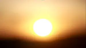 Backdrop to the movie "Aqui e Agora" #456334