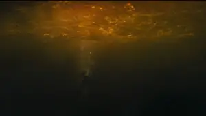 Backdrop to the movie "Skyfall" #587955