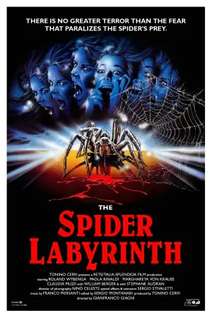 Poster to the movie "The Spider Labyrinth" #771943
