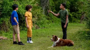 Backdrop to the movie "Pet Investigators" #716644