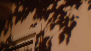 Backdrop to the movie "Bo Burnham: Inside" #750520