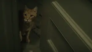 Backdrop to the movie "tick, tick... BOOM!" #697674