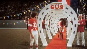 Backdrop to the movie "Gus" #730474