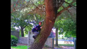 Backdrop to the movie "Shooting a Dream" #573283